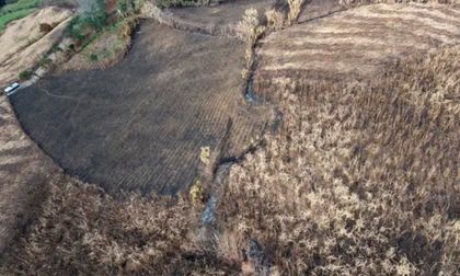 Incendios forestales no dan tregua en Cauca y Nariño