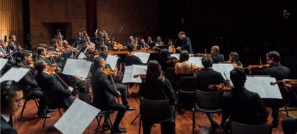 Imagen de  Orquesta Filarmónica de Medellín rendirá homenaje a los emprendedores con un concierto