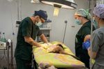 Imagen de Corantioquia y la UdeA realizaron cirugía inédita a una tamandúa atropellada