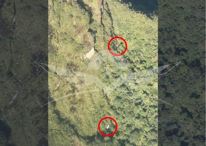 Imagen de Ubican aeronave siniestrada con cinco personas a bordo