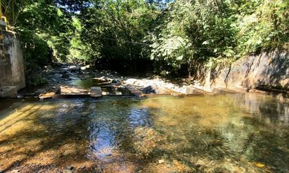 Emcali activa su plan de contingencia por el fenómeno de El Niño para garantizar el suministro de agua potable en Cali