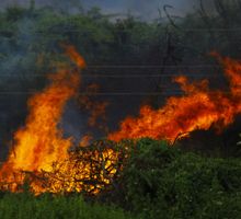 En peligro abastecimiento de agua en Tuluá