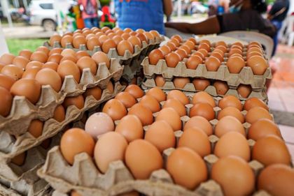 Imagen de  Gobierno Petro regala huevos a miles de familias vulnerables en plena época electoral