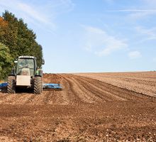 El país vive una desindustrialización con aroma a campo