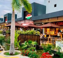 Zazué Plaza: donde la experiencia nunca entra en temporada baja