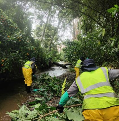 Imagen de  Destinan $250 millones para intervenir la quebrada La Pereira, en La Ceja, ante la temporada de lluvias