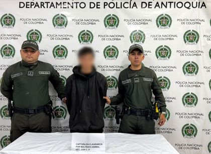 Imagen de  Hombre que habría matado a dos perros en El Peñol quedó libre pero seguirá vinculado al proceso