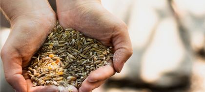 Imagen de  Estos son los insumos importados del sector agropecuario que continuarán sin arancel