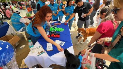 Imagen de Personería de Medellín implementa Observatorio de Seres Sintientes para enfrentar el abandono y la vulnerabilidad animal en la ciudad