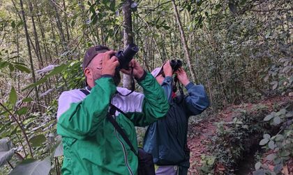 Se consolida monitoreo de aves en el Valle