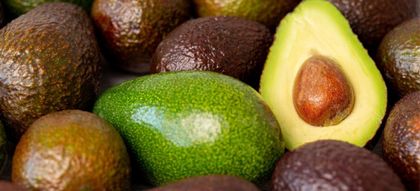 Imagen de  Aguacate Hass rompió récord de exportaciones en 2023