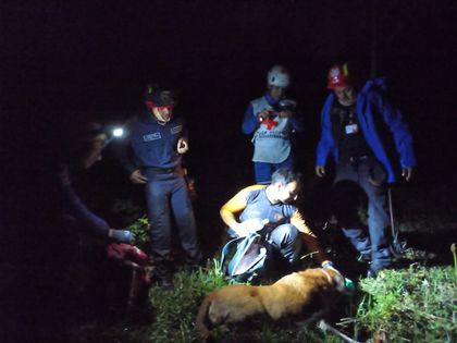 Imagen de Exitoso rescate de una pareja y un perrito extraviados en cerro El Corcovado en La Ceja ￼