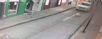 Imagen de  Cornare investiga atropellamiento de perro en Sonsón por vehículo de la entidad