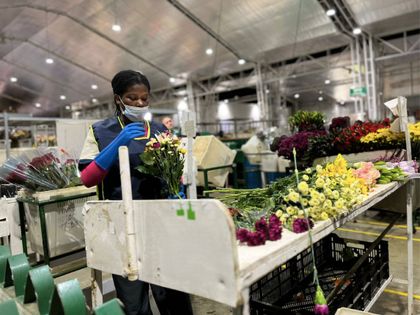 Imagen de  Poblaciones especiales en el Oriente hacen ramos de flores para el Día de las Madres