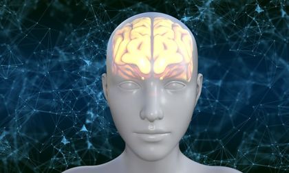 Mapa del genoma cerebral muestra maduración hasta los 24 años