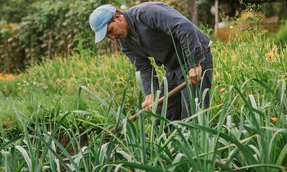 El 2025 fue el mejor año para la generación de empleo rural