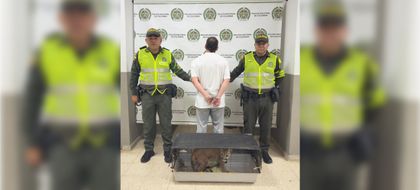 Imagen de Autoridades rescataron un puma que era transportado ilegalmente en la vía Medellín – Llanos de Cuivá