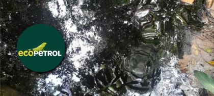 Imagen de  Ecopetrol advierte posibles restricciones en el suministro de combustibles por bloqueos y atentados