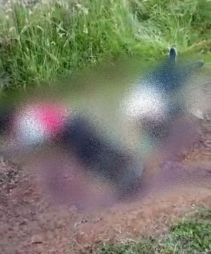 Imagen de  Joven de 14 años, entre los muertos del doble homicidio en Sonsón