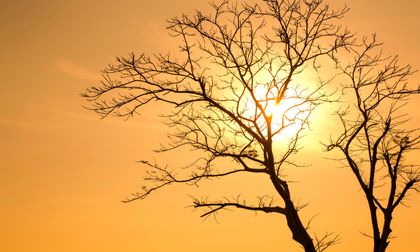 Temperaturas extremas en varias regiones del país
