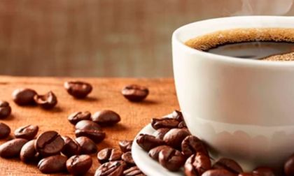 Se fortalece producción de café en el Valle
