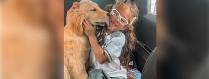 Imagen de La niña en UCI y el perrito perdido: el drama de una familia tras accidente en Rionegro