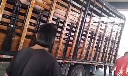 Animales mueren en paro camionero por estrés y falta de agua