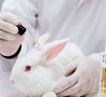 Colombia reglamenta prohibición de pruebas en animales para cosméticos y fija nuevo requisito ante el Invima