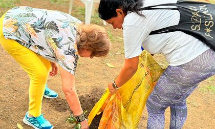 Ya van 120 zonas verdes adoptadas en Cali