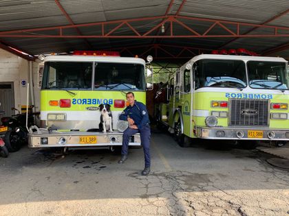 Imagen de  Dos caninos de Bomberos Rionegro recibieron certificación internacional en búsqueda de personas