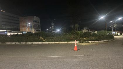Imagen de  Por obras del intercambio vial en la Somer, Rionegro inició aprovechamiento y traslado de árboles y otras especies 