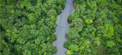 Imagen de  En imágenes: esta es la nueva área protegida del Chocó, un pulmón de biodiversidad