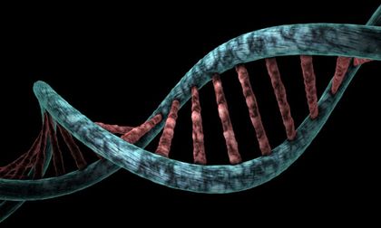 ChromAgeNet detecta envejecimiento en células madre de la sangre