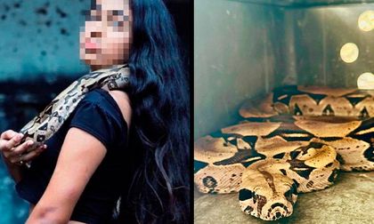 CVC rescata una boa constrictor que era exhibida en redes sociales