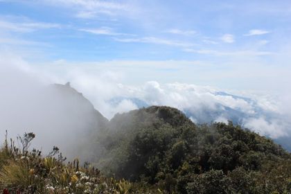 Imagen de  Sonsón inaugurará exposición internacional sobre su páramo