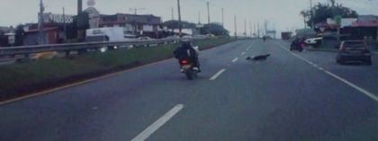 Imagen de  Un perrito murió y dos personas resultaron heridas en accidente de tránsito en Rionegro