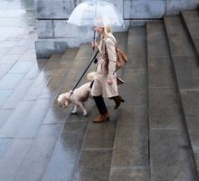 El fenómeno de la niña no será intenso, pero sí influyente: así cambiarán las temperaturas