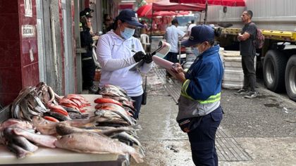 Imagen de En operativo por la Cuaresma decomisaron casi 350 kilos de carne y 16 de queso en el centro de Medellín