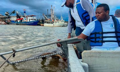 Estudian microplásticos en peces de Buenaventura