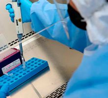 Brote de virus Nipah en India: lo que necesitas saber para entender la alerta mundial