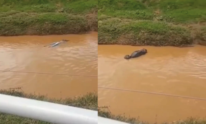 Imagen de  Muestra simbólica realizada en Marinilla se convirtió en fake news en Cali