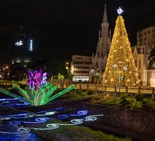 Cali encendió árbol de Navidad de 25 metros