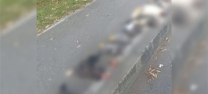 Imagen de Encuentran varios animales decapitados en la vía Rionegro-Aeropuerto JMC