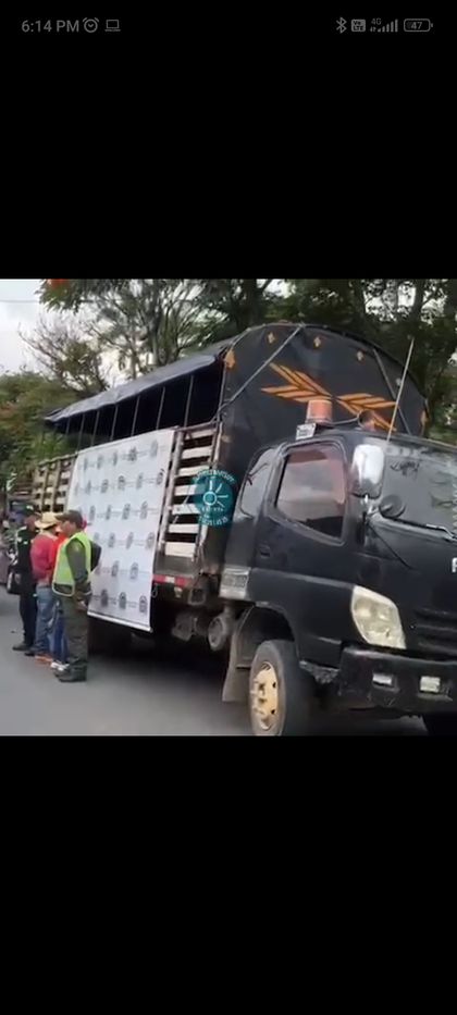Imagen de Autoridades recuperaron un camión con ganado hurtado en San Carlos; dos personas fueron capturadas