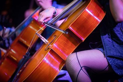 Imagen de  ¡Estos son los artistas rionegreros ganadores de la Convocatoria de Estímulos!