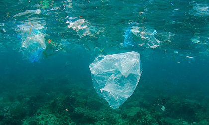Plásticos en los océanos: cinco datos que explican el alcance de una contaminación global