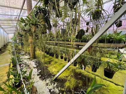 Imagen de En el Oriente Antioqueño están proyectando la construcción de un jardín botánico