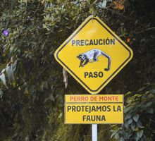 Instalan señal de tránsito de fauna en Vía al Mar