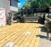 Ejército incauta más de una tonelada y media de marihuana