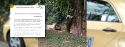 Imagen de Identificaron a mujer taxista asesinada en Medellín: su cadáver fue hallado en Las Palmas